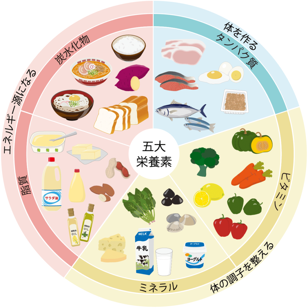 五大栄養素の図